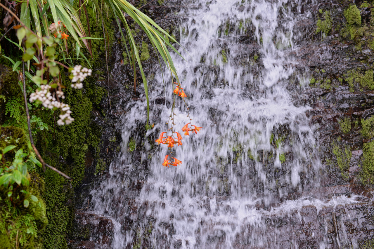Tomasz Teodorczyk – Dziennik ekwadorski