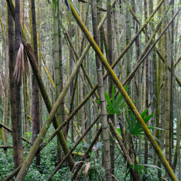 Tomasz Teodorczyk – Dziennik tajwański